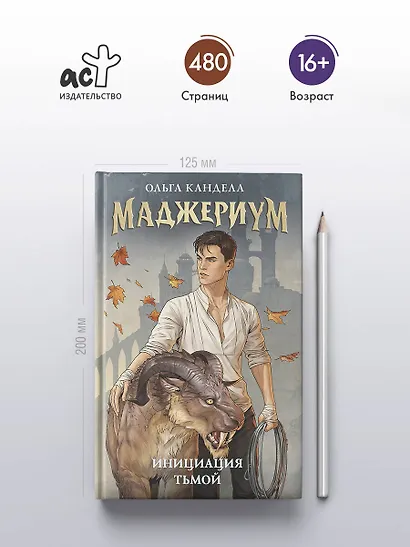 Маджериум. Инициация тьмой - фото 4