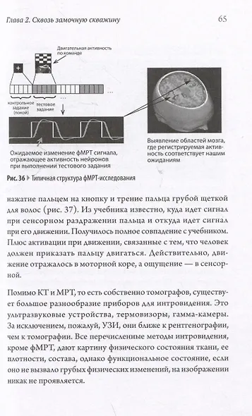 Мозг против мозга. Mind vs brain - фото 15