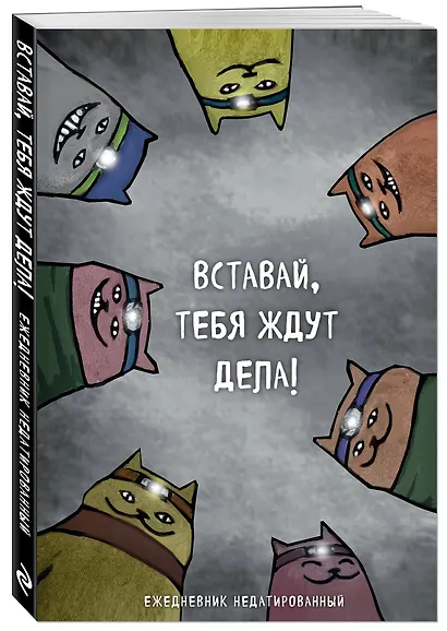 Ежедневник недатированный Коты-туристы Вставай, тебя ждут дела (144 стр) - фото 2