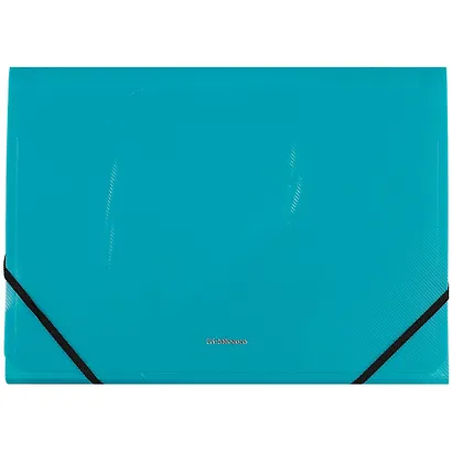 Папка на резинках «Vivid colors», 12 отделений, А4 - фото 1