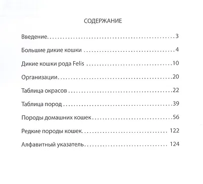 Все о породах кошек - фото 2