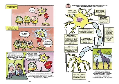 Мозг. Научный комикс - фото 5