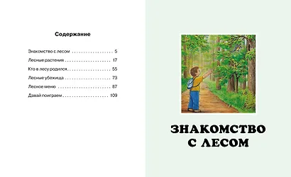 Жизнь леса - фото 9