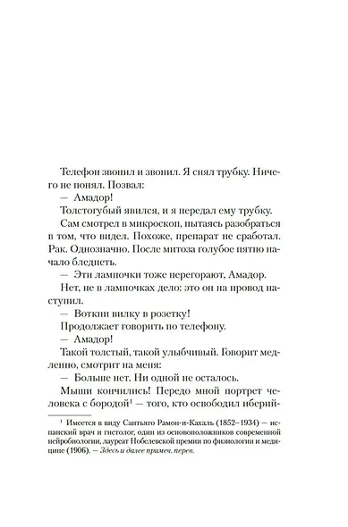 Время тишины - фото 9