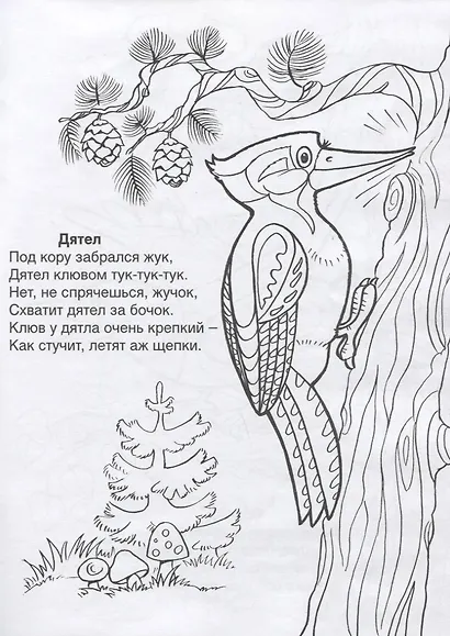 Кто летает в небе - фото 3