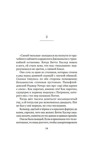 Любовь и ярость - фото 14