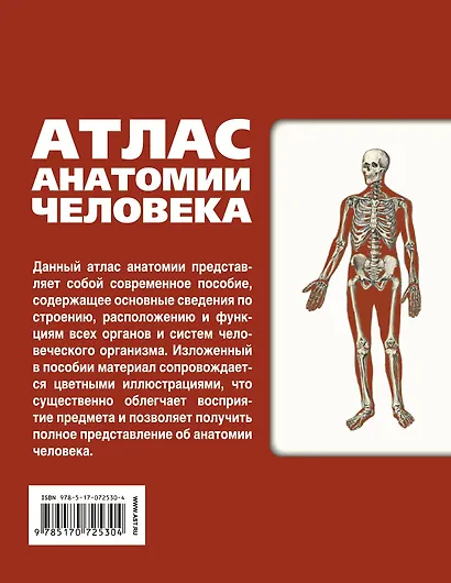 Атлас анатомии человека(инт.пер.) - фото 2