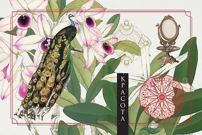 Зеленая лесная Магия. Witch Oracle Cards - фото 8