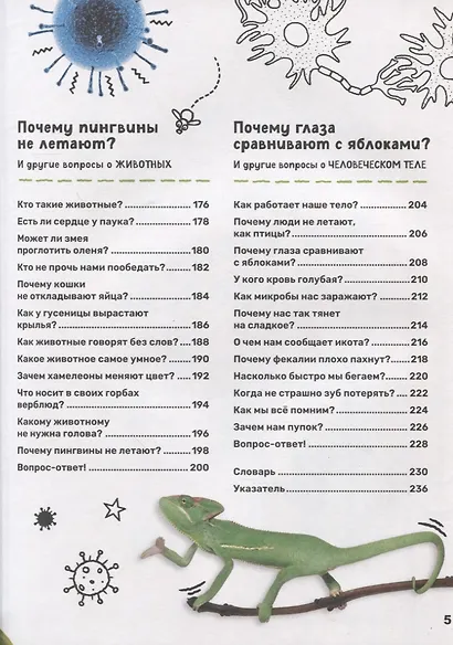 Суперэнциклопедия. Умные ответы на умные вопросы - фото 5