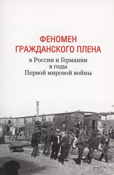 Феномен гражданского плена в России и Германии в годы Первой мировой войны - фото 1