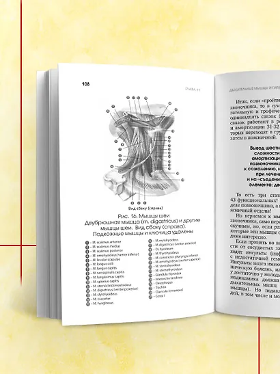 Протрузия, грыжа, спондилоартроз - оперировать нельзя лечить - фото 11