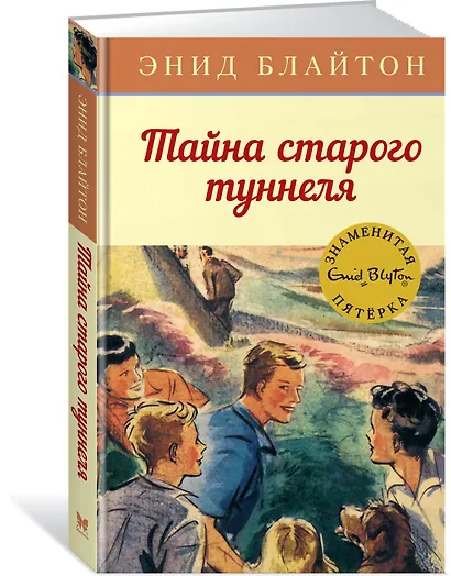 Тайна старого туннеля. Книга 7 - фото 3