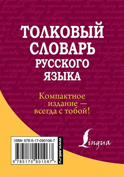 Толковый словарь русского языка - фото 2