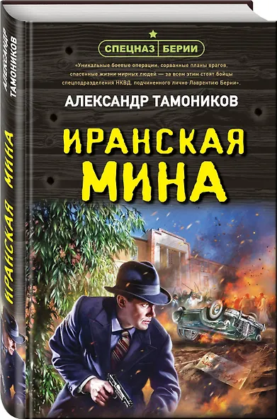 Иранская мина - фото 3