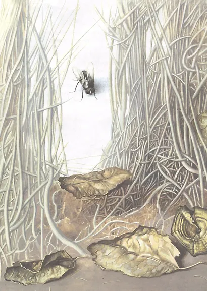 Как Муха себе мужа искала - фото 5