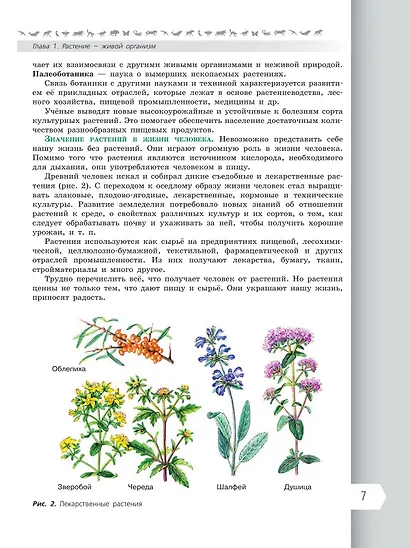5 – 6 классы. Многообразие растений»;. Биология 6 класс учебник пасечник. Биология 6 класс тетрадь пасечник покрытосеменные растения. В.