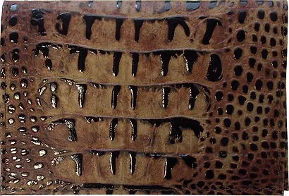 Обложка для паспорта нат.кожа, светло-коричн, крокодил лак, тип 1.1, Спейс - фото 1