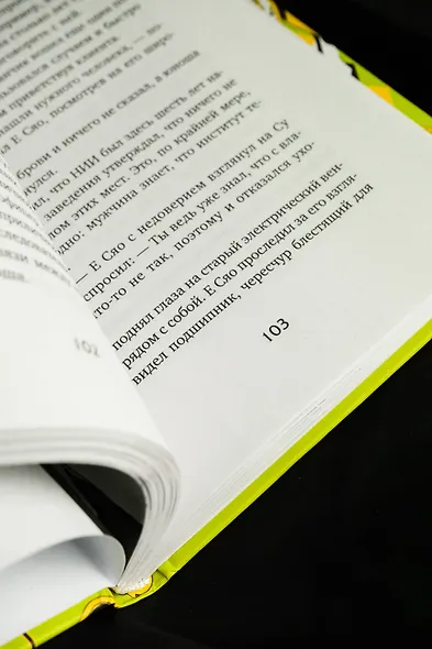 Настоящее пробуждение. Real Awakening. Книга 4 - фото 12