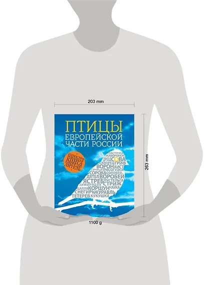 Птицы европейской части России / 2- изд. - фото 3