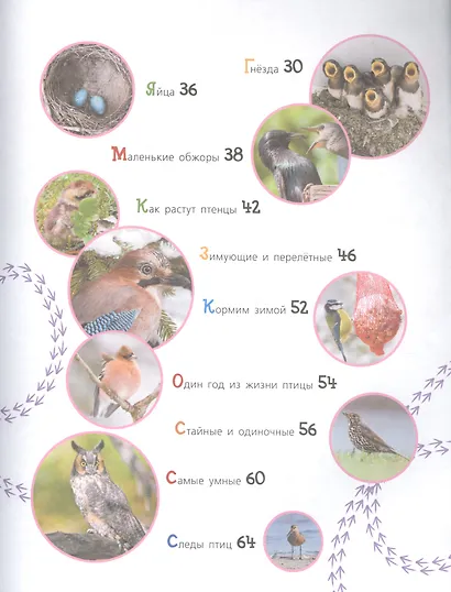 Удивительные птицы - фото 3