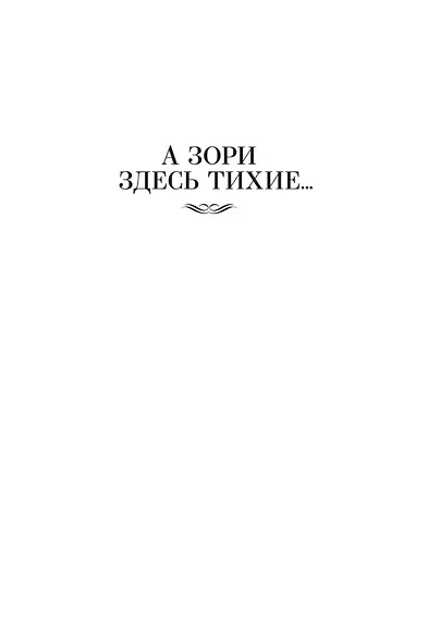 А зори здесь тихие... - фото 10