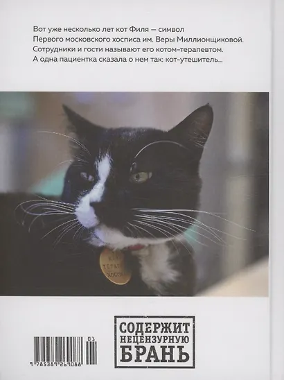 Настоящее время - фото 12