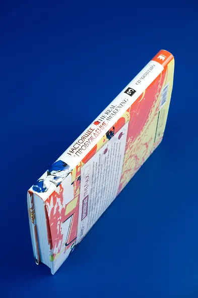 Настоящее пробуждение. Real Awakening. Книга 3 - фото 8