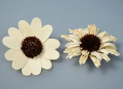 Природный декор, Астра (2шт*7см) блистер - фото 1