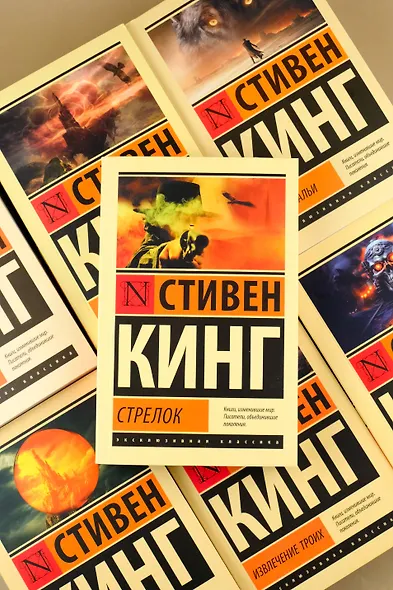 Песнь Сюзанны: из цикла "Темная Башня" - фото 5