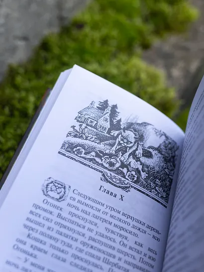 Стань диким! - фото 7