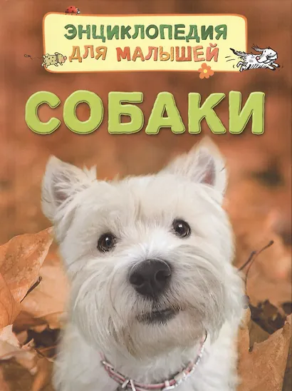Русская поэзия и московские орфоэпы: О произношении слов скучно нарочно конечно и подобных. - фото 3