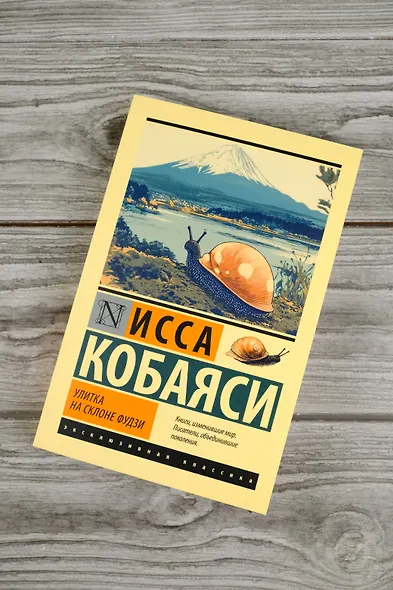 Улитка на склоне Фудзи - фото 5