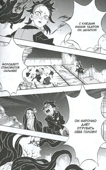 Истребитель демонов. Том 13 (Клинок, рассекающий демонов / Demon Slayer: Kimetsu no Yaiba). Манга - фото 4