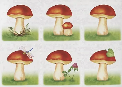 Собираем, различаем. Развивающая игра-лото. Развиваем зрительное восприятие, внимание, речь, логическое мышление. 3-6 лет - фото 2