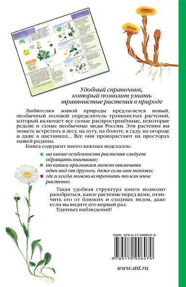 Растения России. Определитель - фото 2