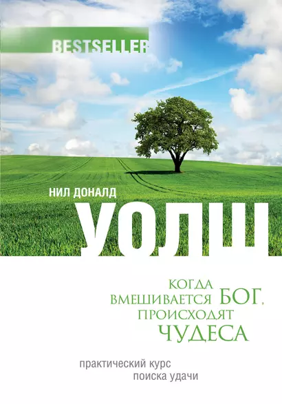 Когда вмешивается Бог, происходят чудеса. Практический курс поиска удачи - фото 1