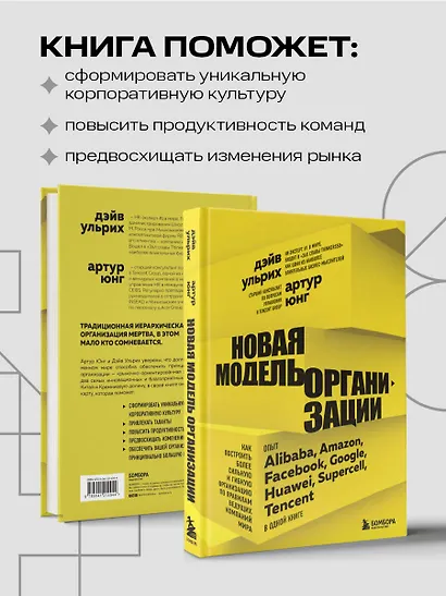 Новая модель организации. Как построить более сильную и гибкую организацию по правилам ведущих компаний мира - фото 6