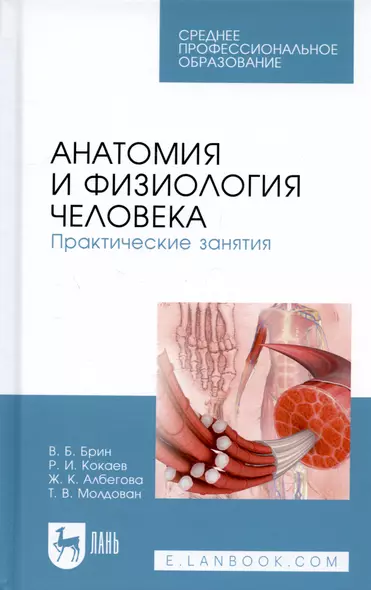 Анатомия и физиология человека. Практические занятия. Учебное пособие - фото 1