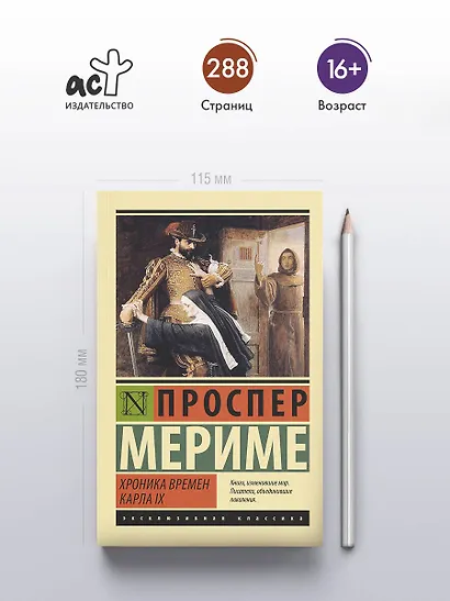 Хроника времен Карла IX - фото 4