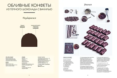 Большая книга шоколатье: Конфеты, выпечка, десерты, антреме. Учимся готовить шедевры - фото 7