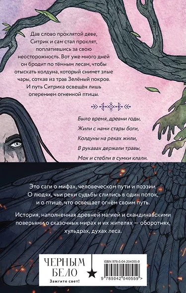 Комплект из 2 книг: Саги огненных птиц. Руны огненных птиц - фото 2