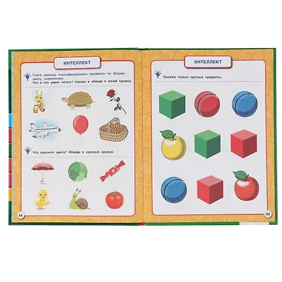 Полный годовой курс. 2-3 года - фото 4