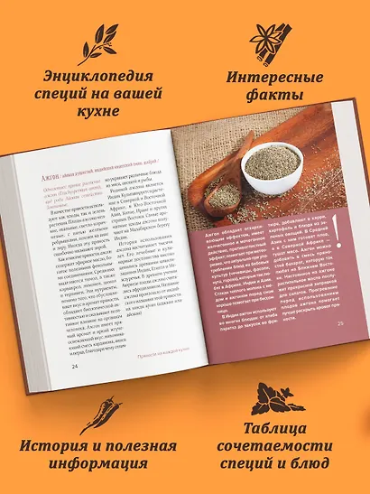 Праздник как по нотам. Специи и пряности. - фото 4