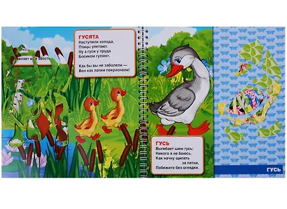 Домашние животные (книжка с трафаретами на пружине). - фото 4