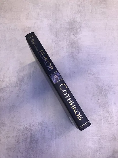 Сотников - фото 8