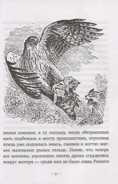 Рыжий Лис - фото 3