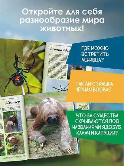 Большая книга о животных. 1001 фотография - фото 5