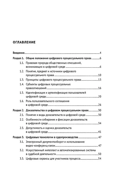 Цифровое процессуальное право. Общая часть. Учебное пособие - фото 2
