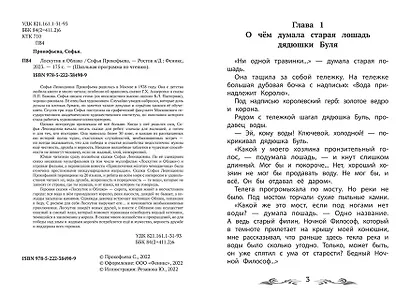 Лоскутик и Облако - фото 6