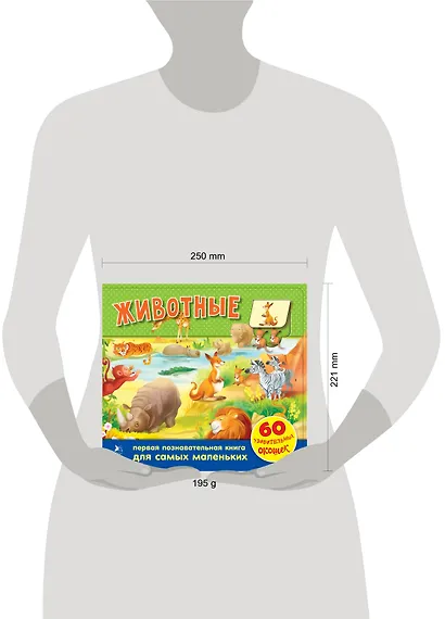 Животные. 60 удивительных окошек - фото 4